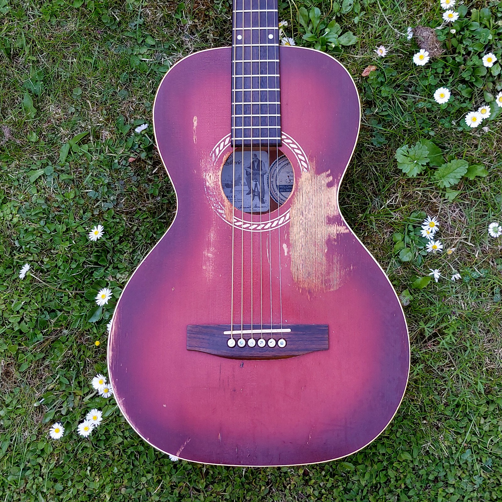 Art and Lutherie AMI Parlour org model